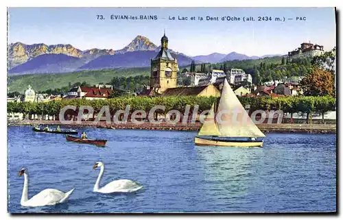 Cartes postales Evian Les Bains Le Lac Et La Dent D'Oche