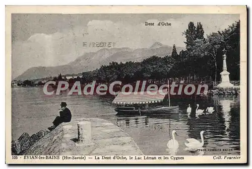 Cartes postales Evian Les Bains La Dent D'Oche Le Lac Leman Et Les Cygnes