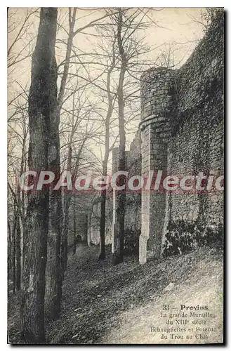 Cartes postales Provins La Grande Muraille trou du chat