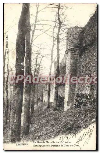 Cartes postales Provins La Grand Muraille echauguettes et poterne du trou au chat