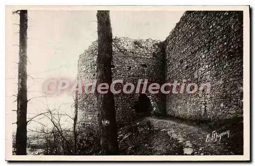 Ansichtskarte AK Provins Le Trou Au Chat