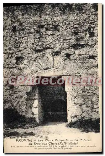 Cartes postales Provins Les Vieux Remparts La Poterne trou aux chats