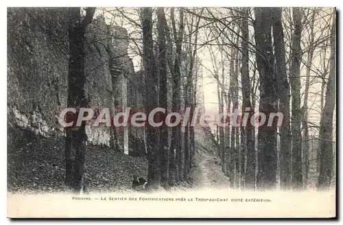 Ansichtskarte AK Provins Le Sentier Des Fortifications