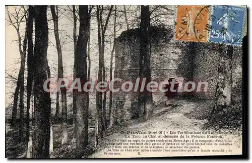 Cartes postales Provins Les Fortifications trou au chat