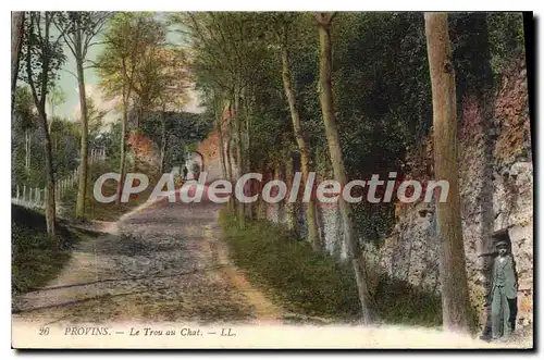 Cartes postales Provins Le Trou Au Chat