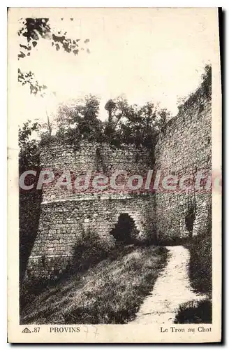 Cartes postales Provins Le Trou Au Chat