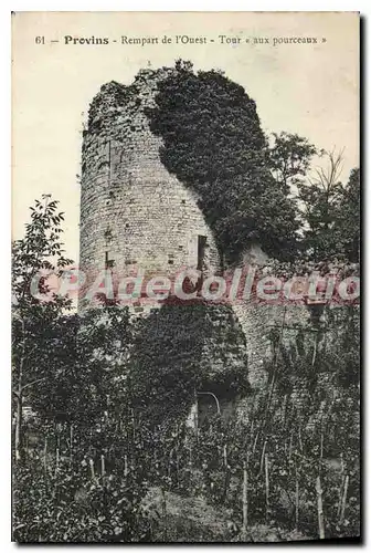 Cartes postales Provins Rempart De I'Ouest Tour Aux Pourceaux