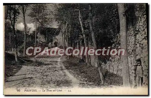 Cartes postales Provins Le Trou Au Chat