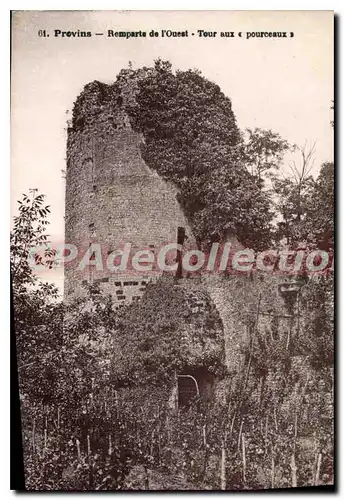 Ansichtskarte AK Provins Remparts De I'Ouest Tour Aux pourceaux