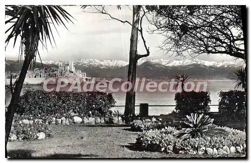 Cartes postales Antibes Cote D'Azur La Vieille Ville Au Fond Les Alpes