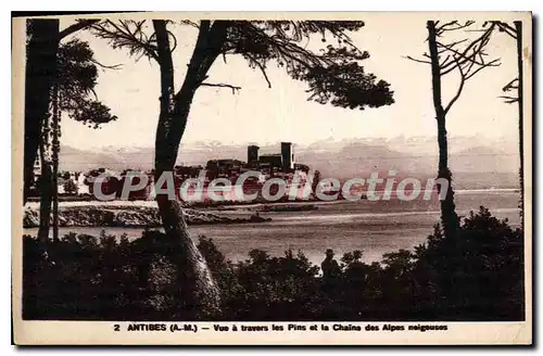 Cartes postales Antibes Vue A Travers Les Pins Et La Chaine Des Alpes