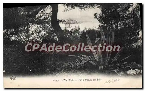 Cartes postales Antibes Vu A Travers Les Pins