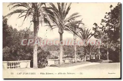 Cartes postales Antibes Villas Eilenroc Allee Des Palmiers Cap