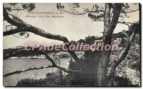 Cartes postales Cap D'Antibes Eilenroc Les Pins Maritimes