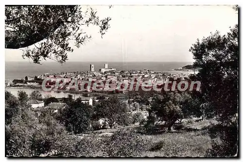 Cartes postales Antibes Vue Generale Les Oliviers