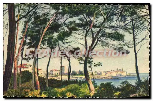 Cartes postales Antibes La Ville Vue A Travers Les Pins De La Corniche