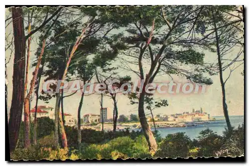 Cartes postales Antibes La Ville Vue A Travers Les Pins De La Corniche