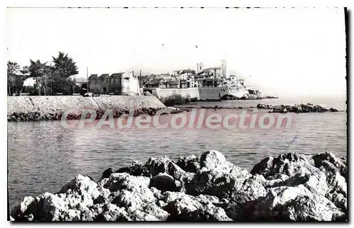 Cartes postales Antibes Les Remparts ch�teau Grimaldi