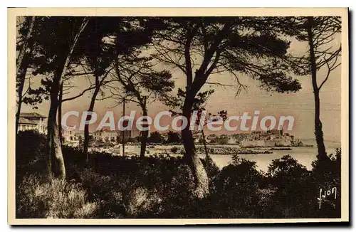 Cartes postales Antibes La Ville Vue A Travers Les Pins De La Corniche