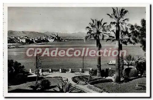 Cartes postales Antibes La Chaine Des Alpes