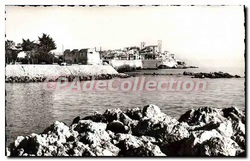 Cartes postales Antibes Les Remparts Et Le Chateau Grimaldi