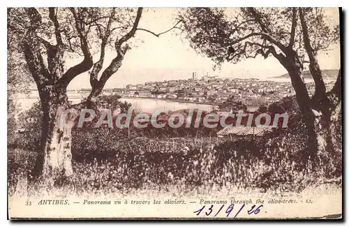 Cartes postales Antibes Panorama Vu A Travers Les Oliviers