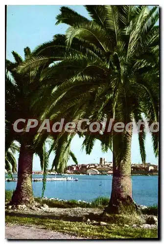 Cartes postales Antibes Vue Sur La Vieille Ville