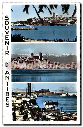 Cartes postales Antibes Souvenir