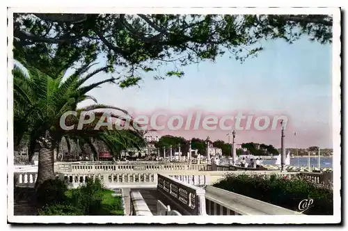 Cartes postales Juan Les Pins Les Terrases Du Grand Pin