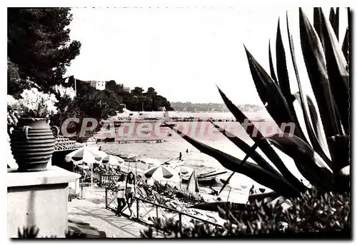 Cartes postales Juan Les Pins La Plage Vue D'Une Terrasse Fleurie