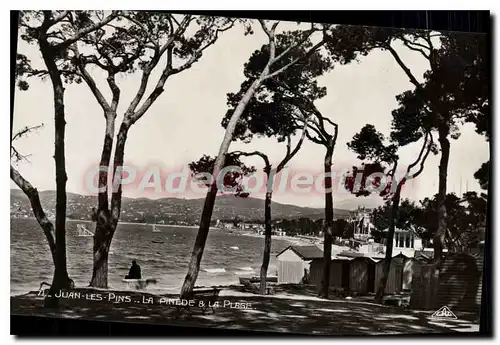 Cartes postales Juan Les Pins la pinede et La Plage