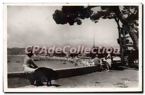 Cartes postales Juan Les Pins La Plage Vue De La Pinede