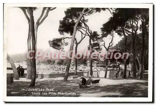 Cartes postales Juan Les Pins Sous Les Pins Maritimes