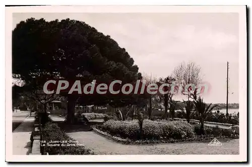 Cartes postales Juan Les Pins Le Square Du Gros Pins