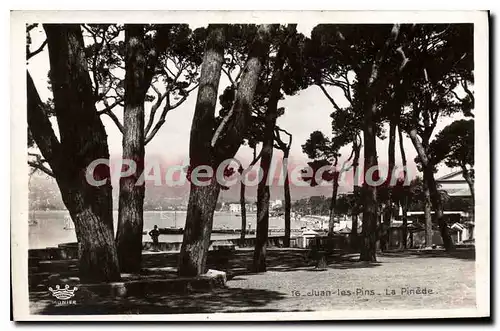 Cartes postales Juan Les Pins La Pinede