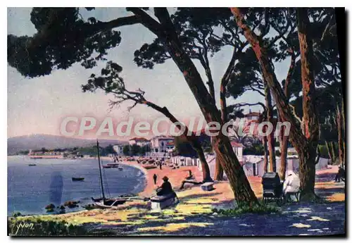 Cartes postales Juan Les Pins La Plage Vue A Travers Les Pins