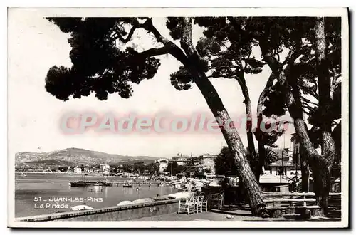 Cartes postales Juan Les Pins La Pinede