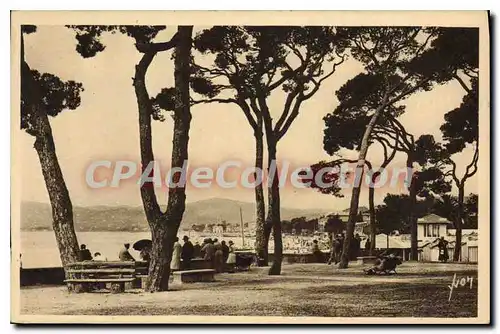 Cartes postales Juan Les Pins La Plage Vue A Travers Les Pins