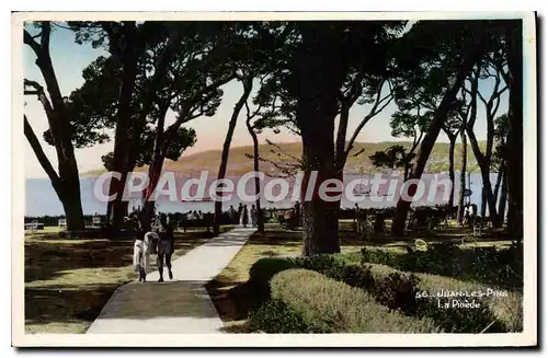 Cartes postales Juan Les Pins La Pinede