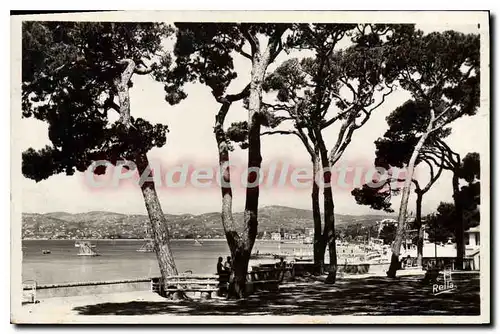 Ansichtskarte AK Juan Les Pins Vue Sur Le Golfe Juan Depuis La Pinede