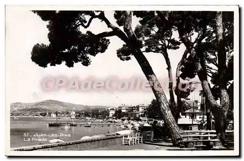 Cartes postales Juan Les Pins La Pinede