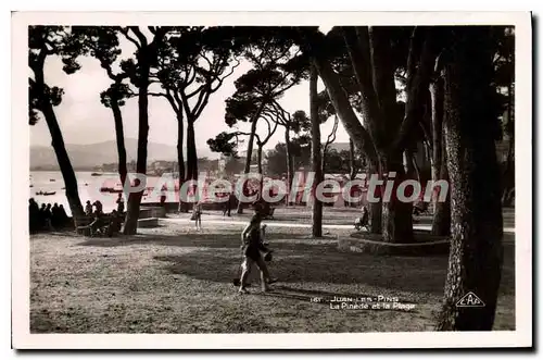 Cartes postales Juan Les Pins La Pinede Et La Plage