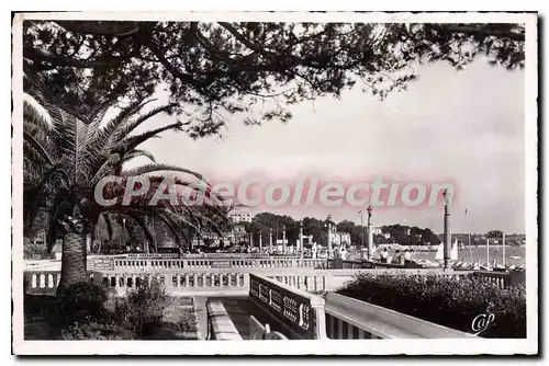 Cartes postales Juan Les Pins Les Terrasses Du Grand Pin