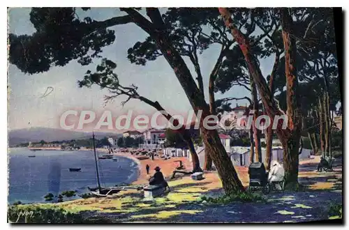 Ansichtskarte AK Juan Les Pins La Plage Vue A Travers Les Pins