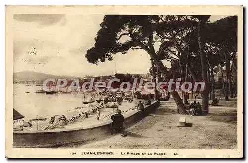 Cartes postales Juan Les Pins La Pinede Et La Plage