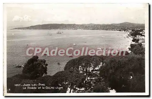 Cartes postales Juan Les Pins La Pinede Et Le Golfe Juan