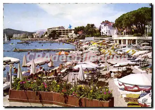 Cartes postales moderne Juan Les Pins La Plage De La Pinede