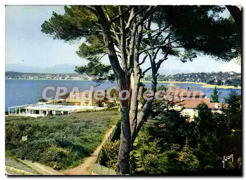 Cartes postales moderne Juan Les Pins Vu Du Cap D'Antibes