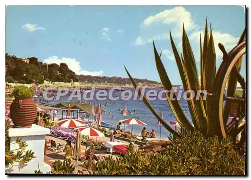 Cartes postales moderne Juan Les Pins Vue Sur Le Port De Plaisance Prise De La terrasse du casino