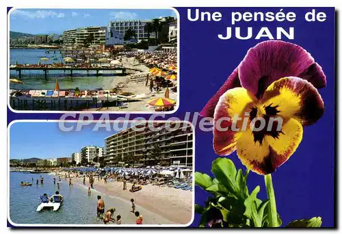 Cartes postales moderne Juan Les Pins Une Pensee